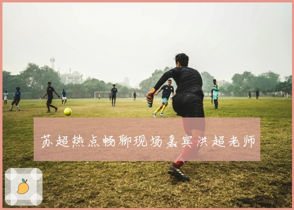 苏超热点畅聊现场嘉宾洪超老师