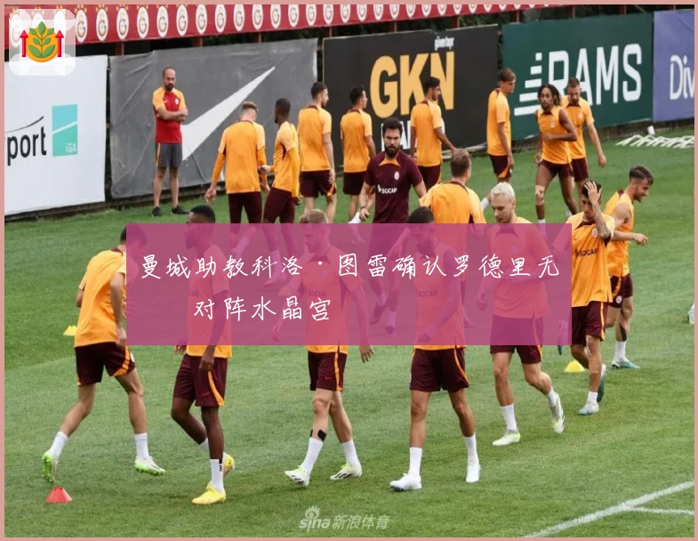 曼城助教科洛·图雷确认罗德里无缘对阵水晶宫